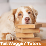 Tail Waggin&rsquo; T